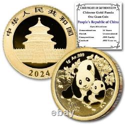 2024 Chinese 10 Yuan Gold Panda Brilliant Uncirculated 1 gram coin withCoA
